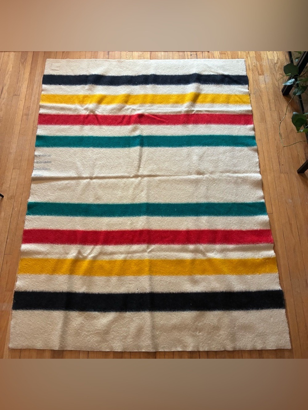 Trapper Point Wool Eaton’s 3.5 Point Blanket